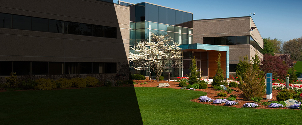 New Auburn Landscapers