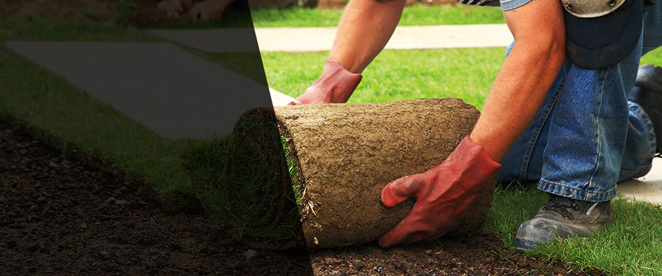 New Auburn Landscapers